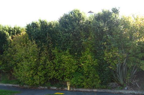 Photo of property in 3 Greenhill Avenue, Wakari, Dunedin, 9010