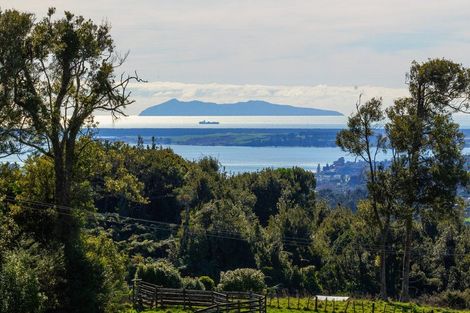 Photo of property in 1039e Work Road, Whakamarama, Katikati, 3181