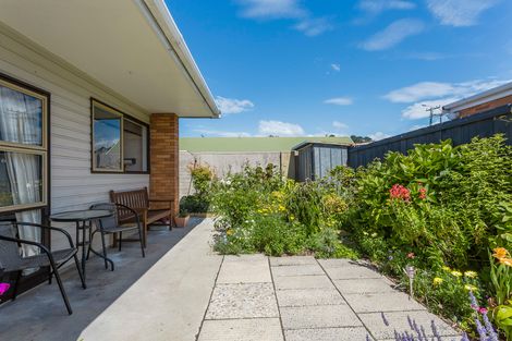 Photo of property in 50c David Street, Caversham, Dunedin, 9012