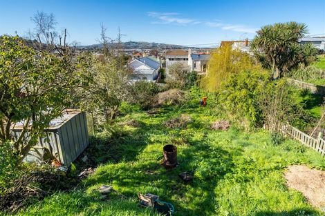 Photo of property in 19 Morrison Street, Caversham, Dunedin, 9012
