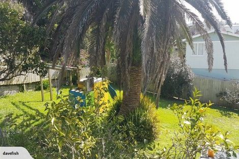 Photo of property in 21 Alnwick Street, Warkworth, 0910