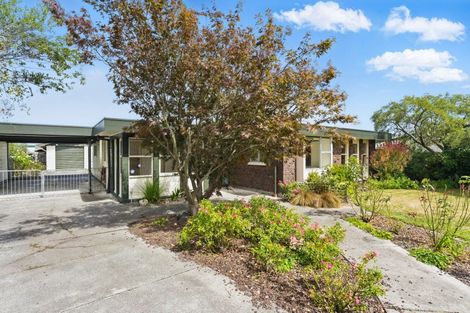 Photo of property in 3 Virginia Crescent, Feilding, 4702
