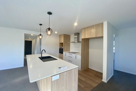 Photo of property in 22 Te Kanawa Lane, Rolleston, 7615