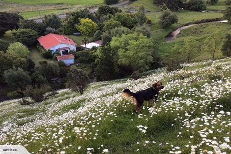 Photo of property in 100 Falloon Settlement Road, Kaituna, Masterton, 5888