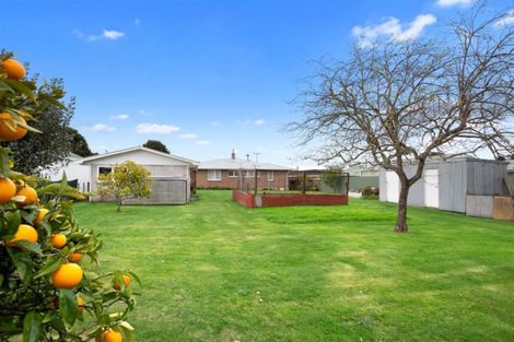 Photo of property in 79 Beach Road, Katikati, 3129