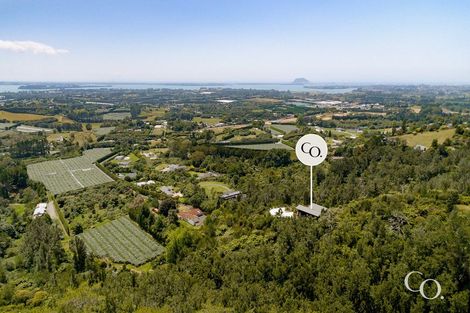 Photo of property in 6j Ainsworth Road, Minden, Tauranga, 3179