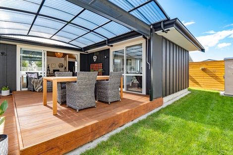 Photo of property in 703a Buller Street, Akina, Hastings, 4122