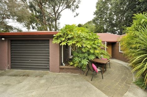 Photo of property in 55b Jocelyn Street, Casebrook, Christchurch, 8051