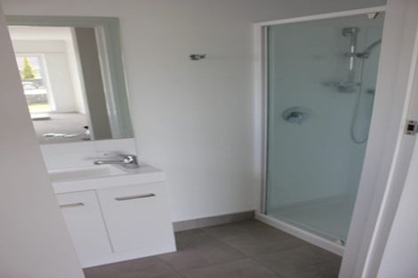 Photo of property in 68 Webster Avenue, Mount Roskill, Auckland, 1041