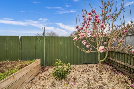 Photo of property in 48c Mahoe Street, Inglewood, 4330