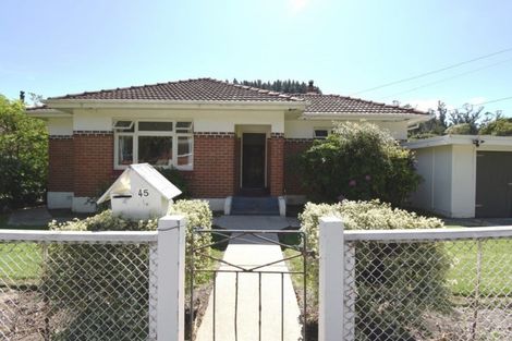 Photo of property in 45 Norwood Street, Normanby, Dunedin, 9010