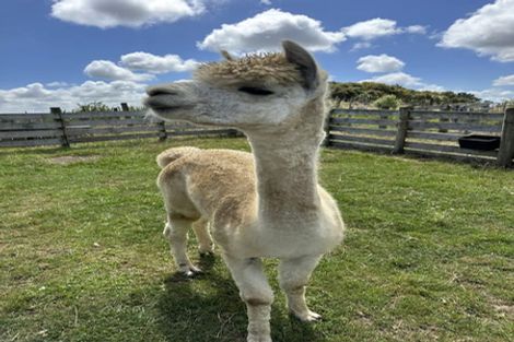 Photo of property in 992a Glen Murray Road, Rangiriri, Huntly, 3772