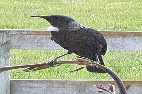 Photo of property in 103b Cameron Road, Westmere, Whanganui, 4574