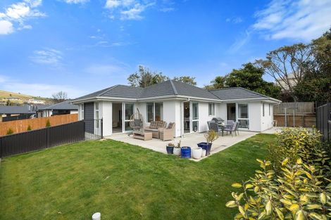 Photo of property in 63 Owhiro Avenue, Mosgiel, 9024