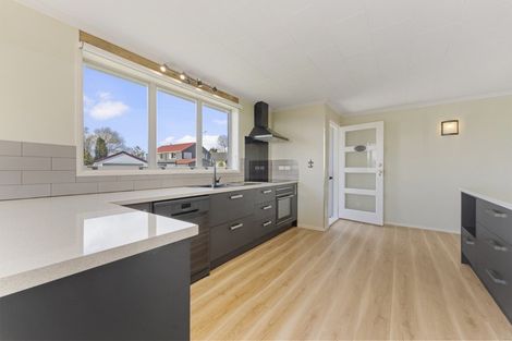 Photo of property in 20 Nikau Street, Inglewood, 4330