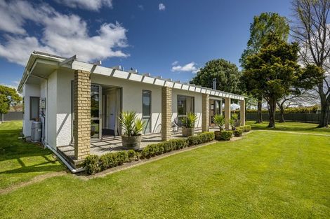 Photo of property in 113 Havelock Road, Havelock North, 4130