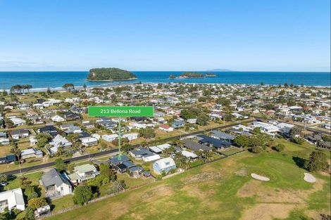 Photo of property in 213 Bellona Road, Whangamata, 3620