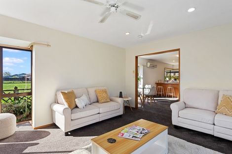 Photo of property in 21a Seadown Crescent, Amberley, 7410