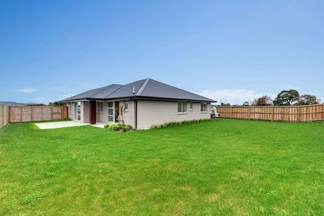 Photo of property in 4 Benn Street, Amberley, 7481