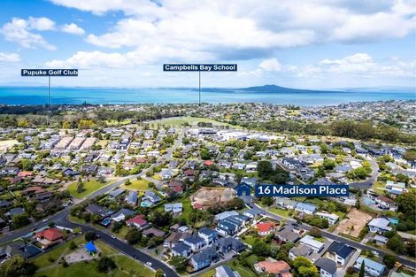 Photo of property in 16c Madison Place, Forrest Hill, Auckland, 0620