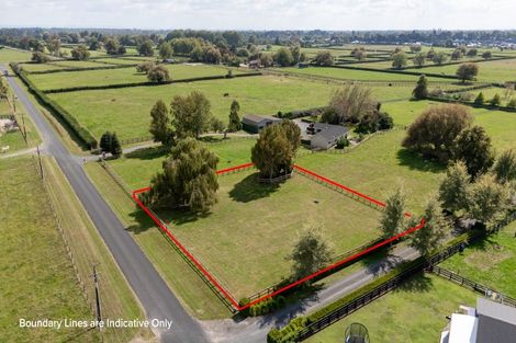 Photo of property in 49 Nickle Road, Cambridge, 3495