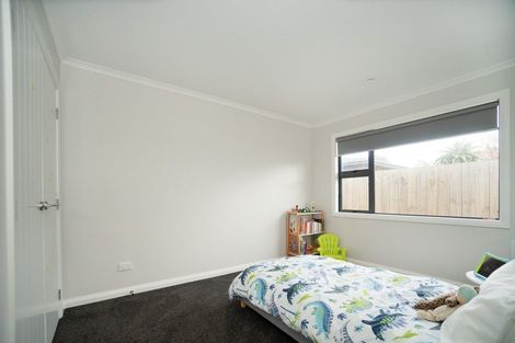 Photo of property in 55a Ferguson Street, Awapuni, Palmerston North, 4412