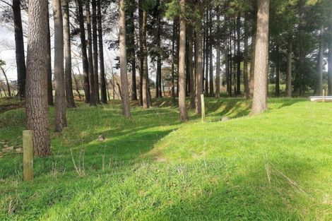 Photo of property in 43 Beckett Lane, Dannevirke, 4972