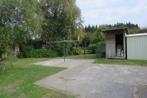 Photo of property in 250 Foxton Shannon Road, Foxton, 4893