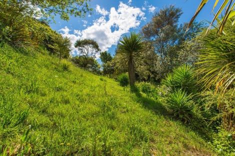 Photo of property in 78m Greenslade Road, Raglan, 3295