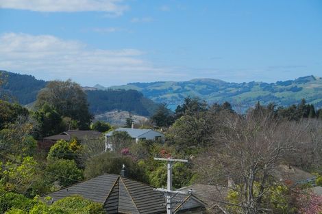 Photo of property in 20 Leven Street, Roslyn, Dunedin, 9010