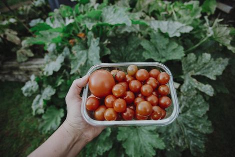 Photo of property in 17 Pekanga Drive, Fox Glacier, 7886