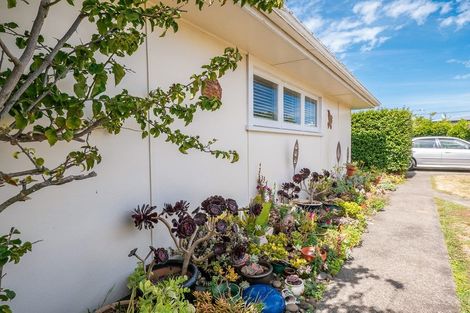 Photo of property in 31 Lindsey Crescent, Springvale, Whanganui, 4501