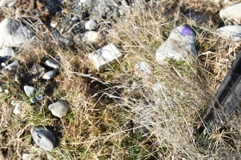 Photo of property in 12a Temple Drive, Twizel, 7901