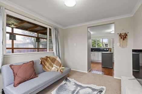 Photo of property in 66 Salisbury Street, Ashhurst, 4810