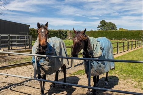 Photo of property in 154 Bradleys Road, Ohoka, Kaiapoi, 7692