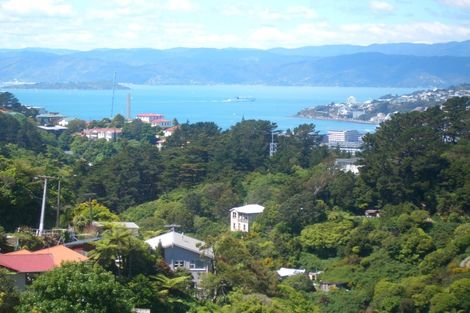 Photo of property in 61 Mount Pleasant Road, Aro Valley, Wellington, 6012