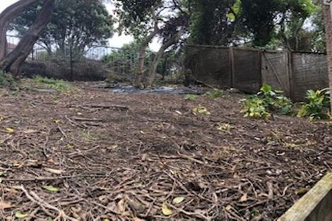 Photo of property in 43a Forrest Hill Road, Milford, Auckland, 0620