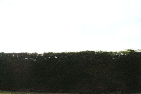 Photo of property in 1416 Coast Road, Karitane, Waikouaiti, 9471