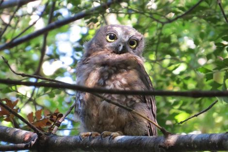 Photo of property in 85b Shakespeare Street, Greymouth, 7805
