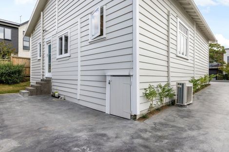 Photo of property in 48a Cook Street, Hamilton East, Hamilton, 3216