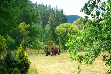 Photo of property in 46 Ruapapa Road, Frasertown, Wairoa, 4195