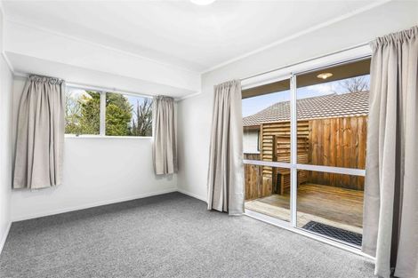 Photo of property in 58a Alison Street, Hamilton Lake, Hamilton, 3204