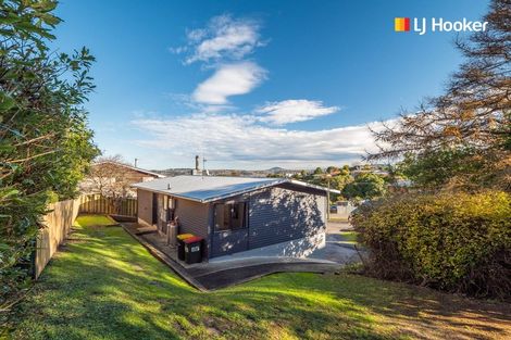 Photo of property in 50 Tower Avenue, Waverley, Dunedin, 9013