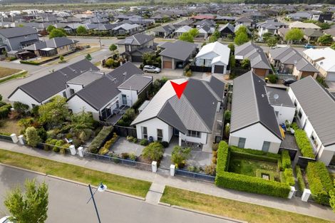 Photo of property in 81 Mary Ellen Street, Pegasus, 7612