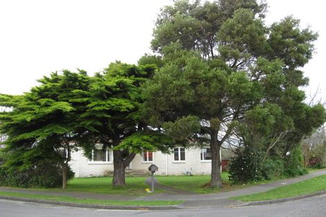 Photo of property in 23 Roosevelt Street, Levin, 5510