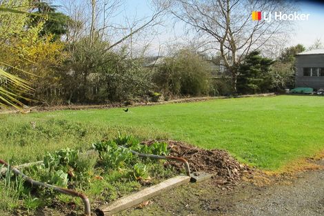 Photo of property in 16 Moore Street, Milton, 9220