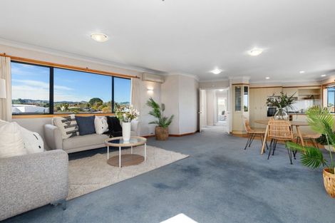 Photo of property in 19a Vine Avenue, Maungatapu, Tauranga, 3112
