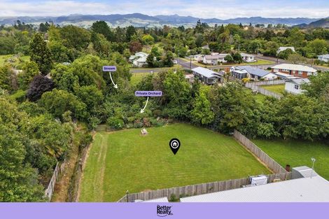 Photo of property in 10 Richmal Street, Waihi, 3610