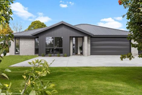 Photo of property in 488a Thames Street, Morrinsville, 3300