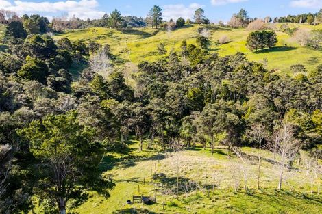 Photo of property in 330 Franklin Road, Paparoa, 0571